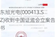 东旭光电(000413.SZ)收到中国证监会立案告知书