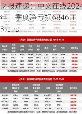 财报速递：中文在线2024年一季度净亏损6846.13万元