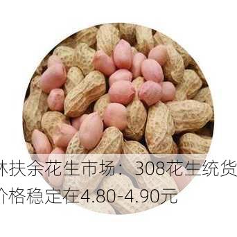 吉林扶余花生市场：308花生统货米价格稳定在4.80-4.90元/斤