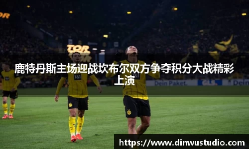 鹿特丹斯主场迎战坎布尔双方争夺积分大战精彩上演